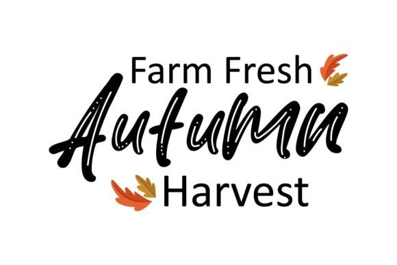 Autumn Season T Shirt Graphics Review for T-Shirt Designs